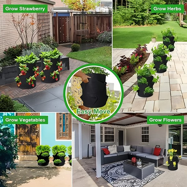 Mobiler Übertopf für Pflanzen