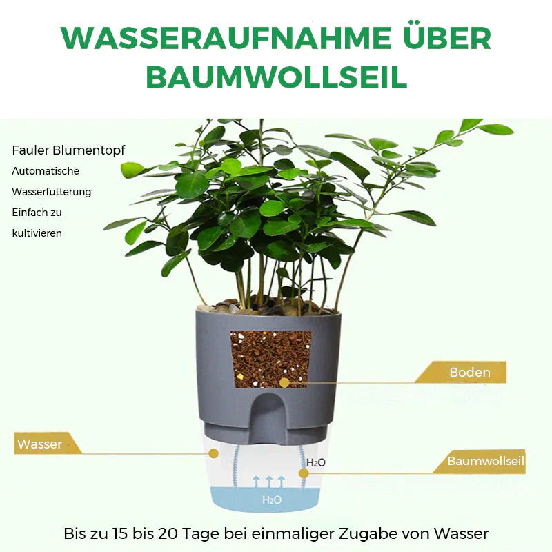 Automatischer Bewässerungstopf für gesunde Pflanzen