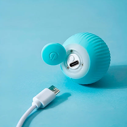 Interaktiver, automatisch rollender Haustierball