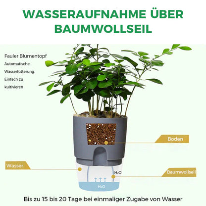 Automatischer Bewässerungstopf für gesunde Pflanzen