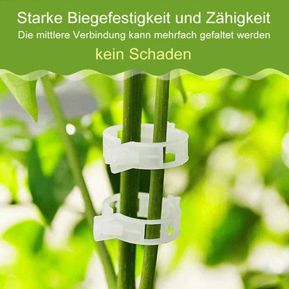 Robuste Pflanzenclips für sicheren Halt (100 Stk.)